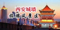 亚洲操逼网址中国陕西-西安城墙旅游风景区